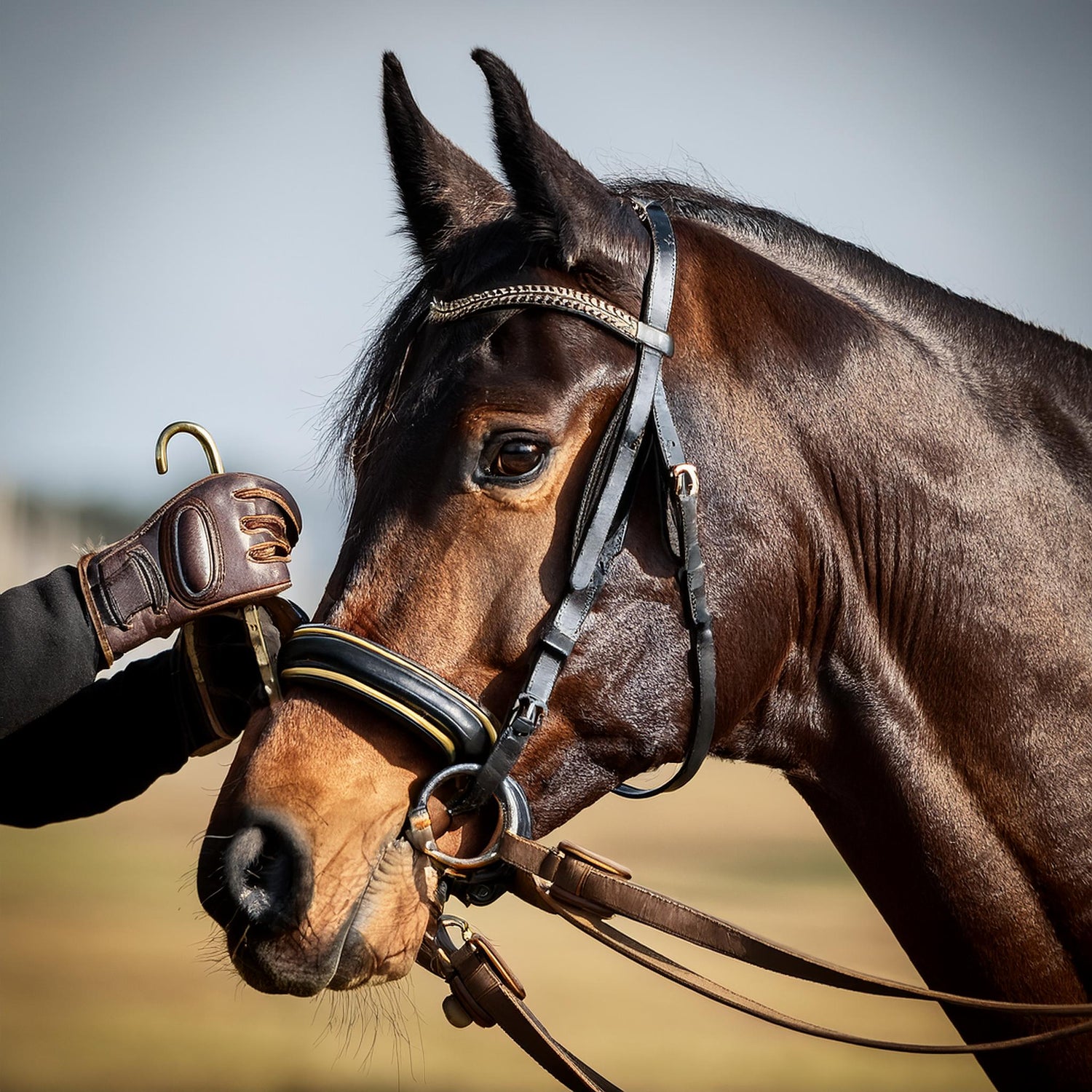 Driving Harness